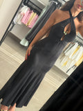 Shakira long dress